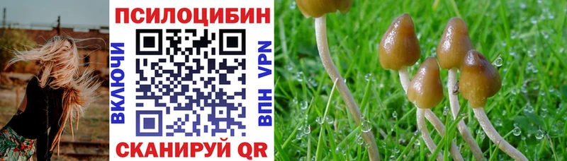 как найти закладки  Приволжск  Галлюциногенные грибы GOLDEN TEACHER 