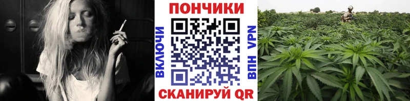Канабис гибрид Приволжск